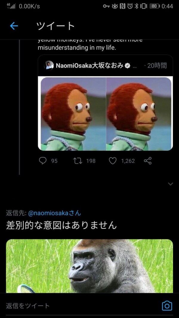 大坂なおみ 猿画像貼ったくらいで誤解すんな 男性 ゴリラの画像ペタッ W ブロック 来て見て読んで あかさたなんj 大坂なおみ 猿画像貼ったくらいで誤解すんな 男性 ゴリラの画像ペタッ W ブロック 来て見て読んで あかさたなんj