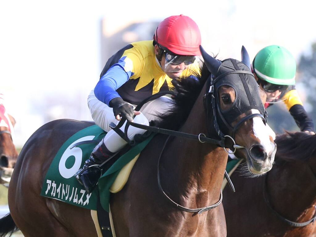 桜花賞 アカイトリノムスメとかソダシとか金子のネーミングセンスが悪化したよな あいこでまね ファクトリー