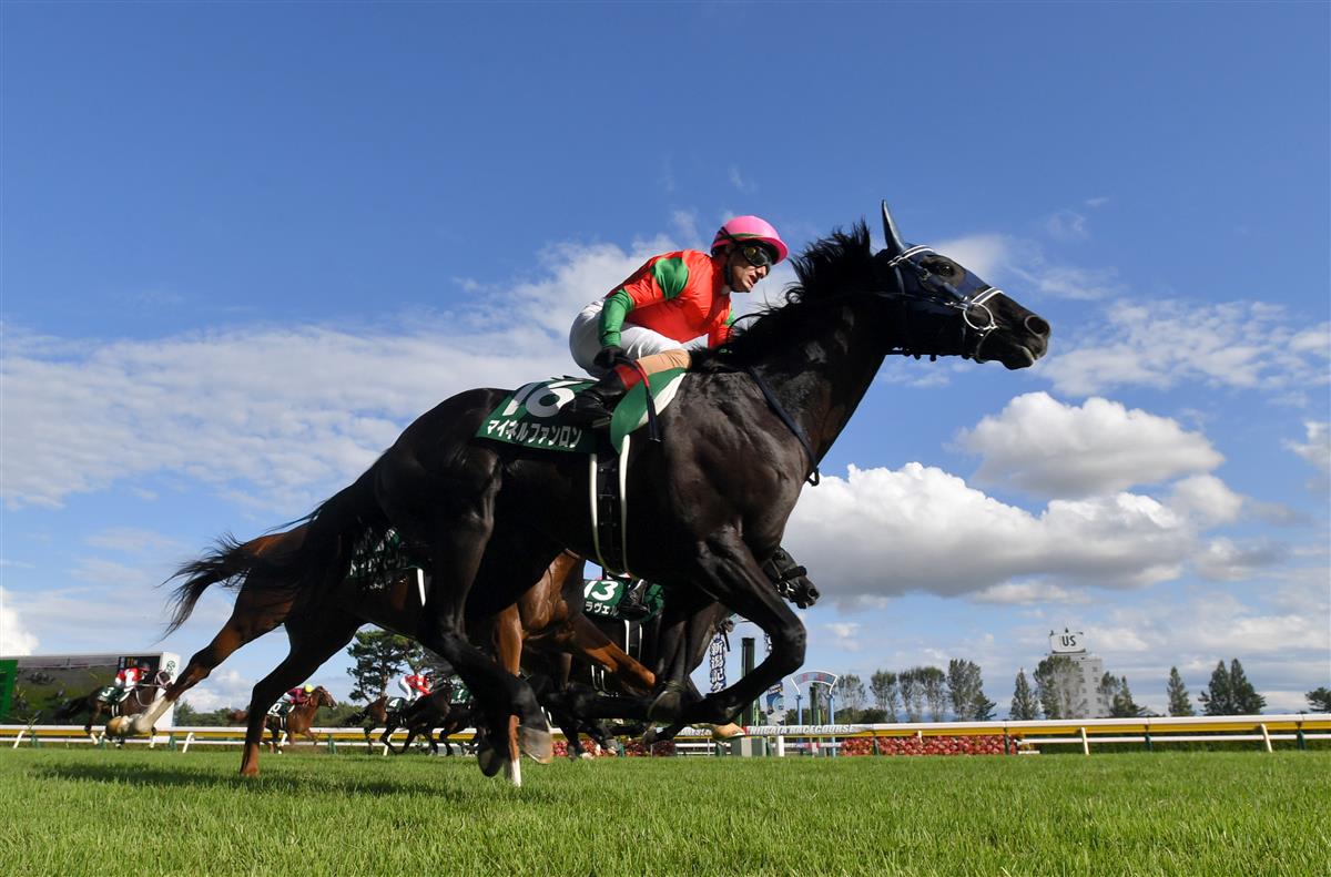新潟記念 De 競馬 1着マイネルファンロン手塚調教師 勝因はジョッキー あいこでまね ファクトリー