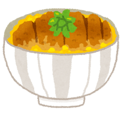 food_katsudon
