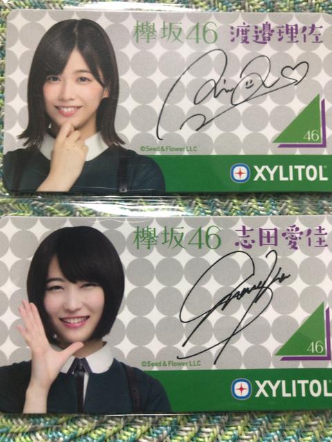 セブンイレブンで欅坂46のマグネットシート全4種をもらおう ロッテキシリトールガムを買おう 節約と副収入で貯金を増やすブログ 目指せ金持ちライフ セブンイレブンで欅坂46のマグネットシート全4種をもらおう ロッテキシリトールガムを買おう 節約と副収入で貯金を増やすブログ 目指せ金持ちライフ