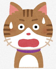 neko