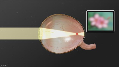 K10012144731_1910231437_1910231650_01_05