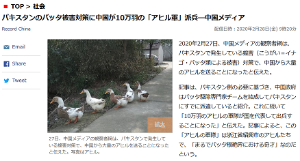 アヒル バッタ