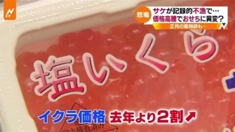 20191225-00000070-jnn-000-thumb