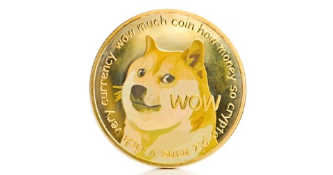 doge-coin-bloomb