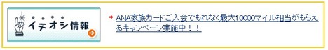 イチオシ情報