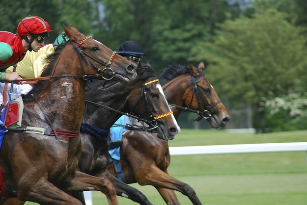 racecourse-637475_1920