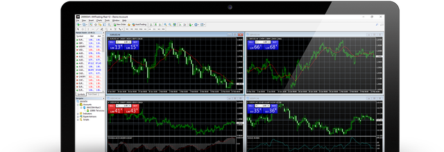 xmtrading-mt4