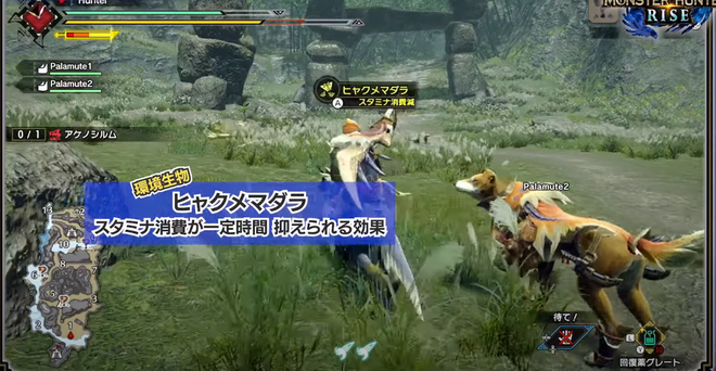 ヒャクメマダラ