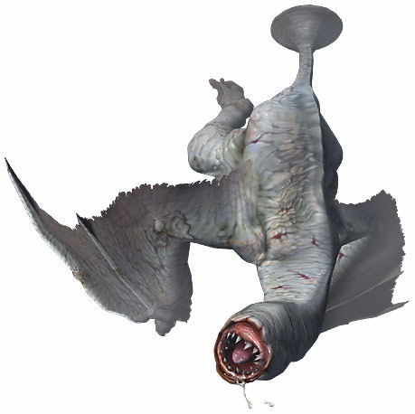 フルフル 画像