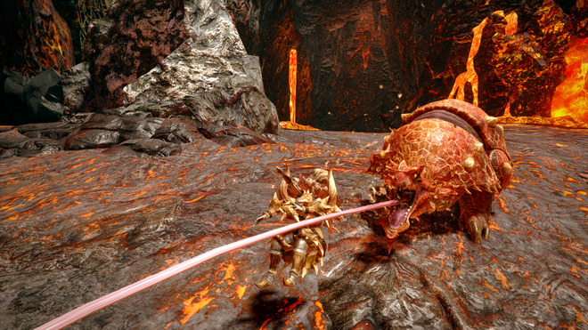 ラングロトラ　戦闘