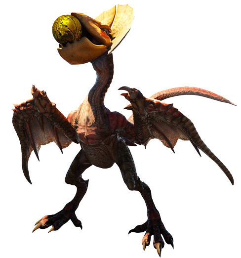 クック２
