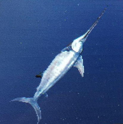 レイトウマグロ