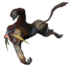 dodoburango_b