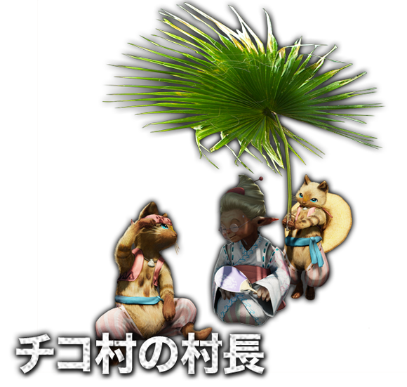 チコ村の村長