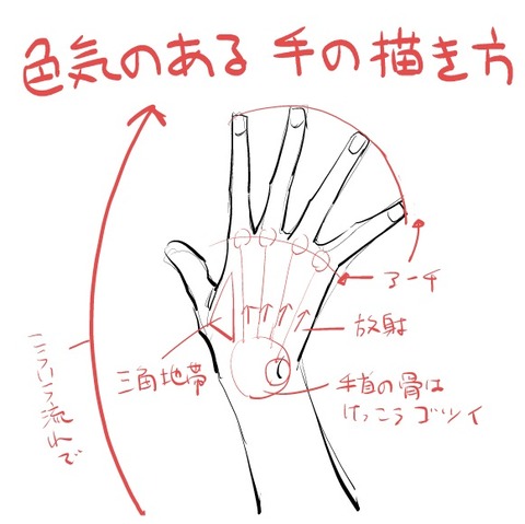 色気のある手の描き方 萌え絵イラスト お絵描き講座データベース Pixivまとめ