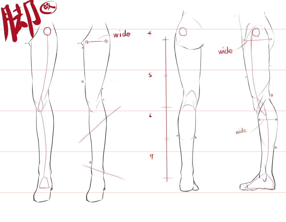 【腿部画法】本子必备的腿部画法?零基础也能学会的画腿技巧，插画/板绘/画画/手绘 - 哔哩哔哩