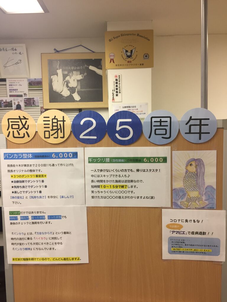 スキップ ハイカラ ニュース