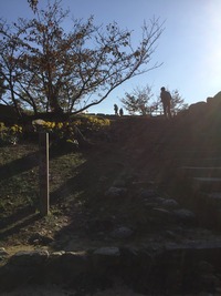 39FEC320-1B04-4FE4-AA37-598EE69AA8F7