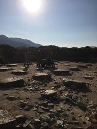 548976B7-BCAC-49B2-9FC1-1178EC9AD084