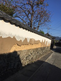 5F76D0F2-492D-41D8-9FF1-C103A66D6B60