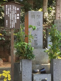 5FF22EA3-43F7-4509-BE1E-DB6C580E489F