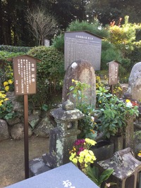 FE1FFAEA-4134-4199-8397-0FB3777A33E0