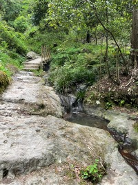 IMG_6106