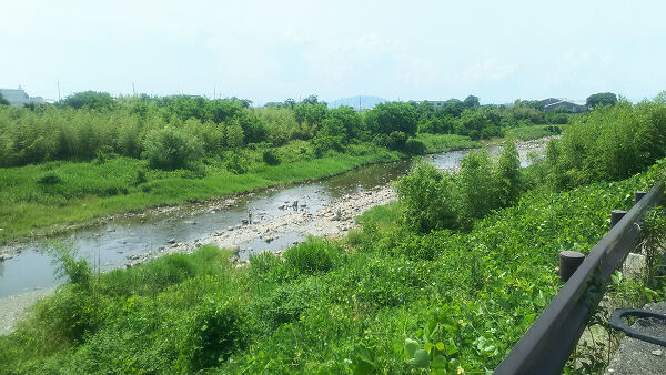 21 06 15 犬上川小鮎釣り Monkey432のblog