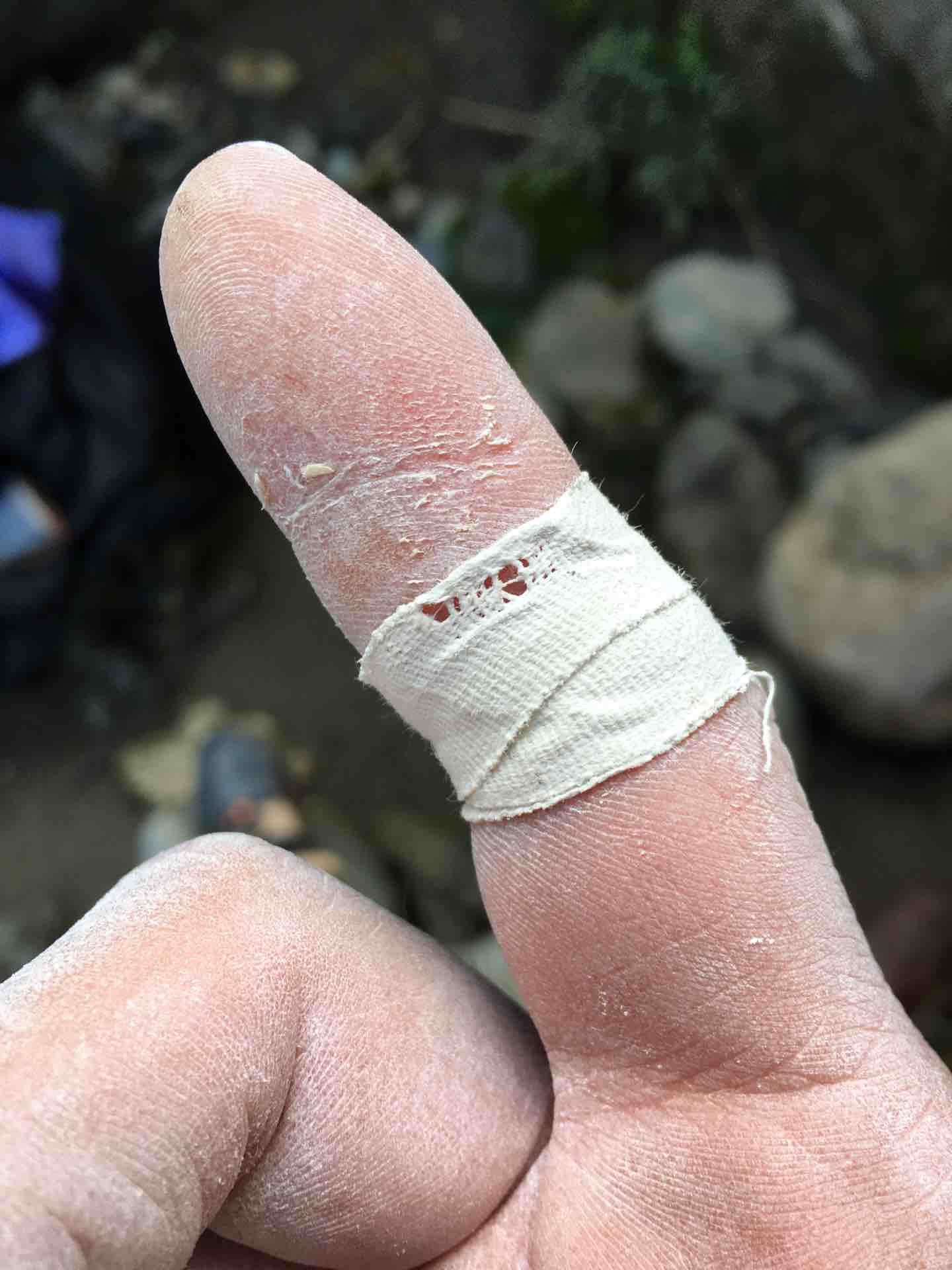 番犬エリア バトル ロッククライミング 家トレはモチべが命 番犬エリア バトル ロッククライミング 家トレはモチべが命