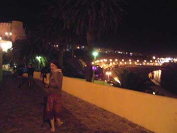 060730Viri04