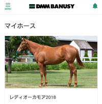 ¥ì¥Ç¥£¥ª¡¼¥«¥â¥¢2018