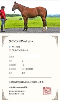¥é¥ô¥¤¥ó¥¶¥À¡¼¥¯2019