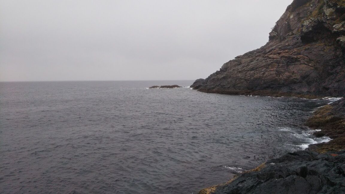 初めて降りた尾長場 大三角奥の奥 バラシの森 Blog