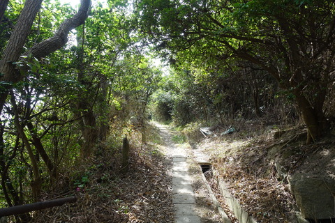 DSC05473