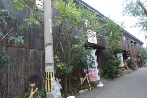 DSC05538