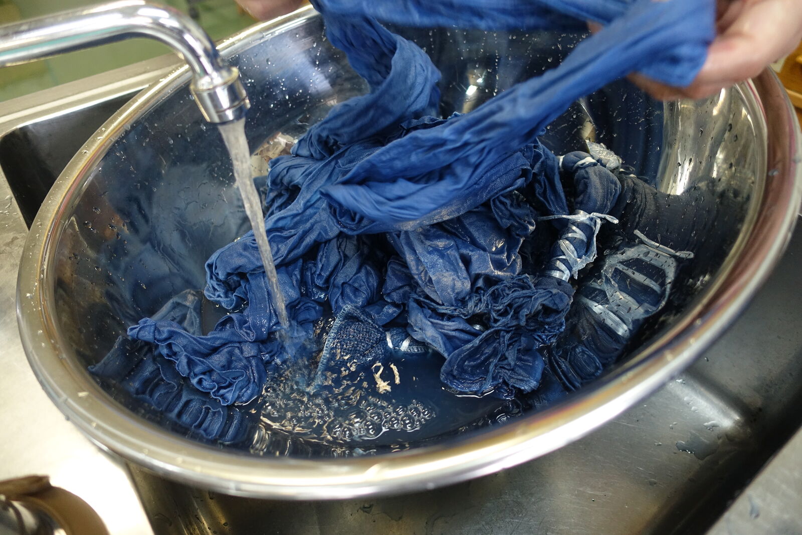 よく育った蓼藍、バケツで沈殿藍ペーストを作ってみました, 57% OFF