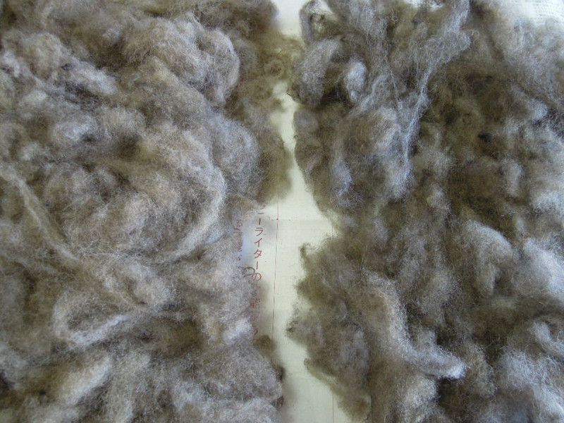 ヤシャブシ 後鉄媒染 で染める モンコの染織日記