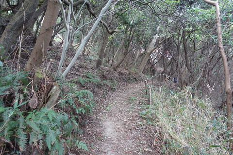 DSC05482
