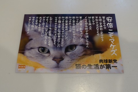 DSC05233 (2)