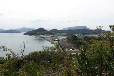 DSC05475
