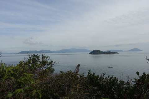 DSC05478