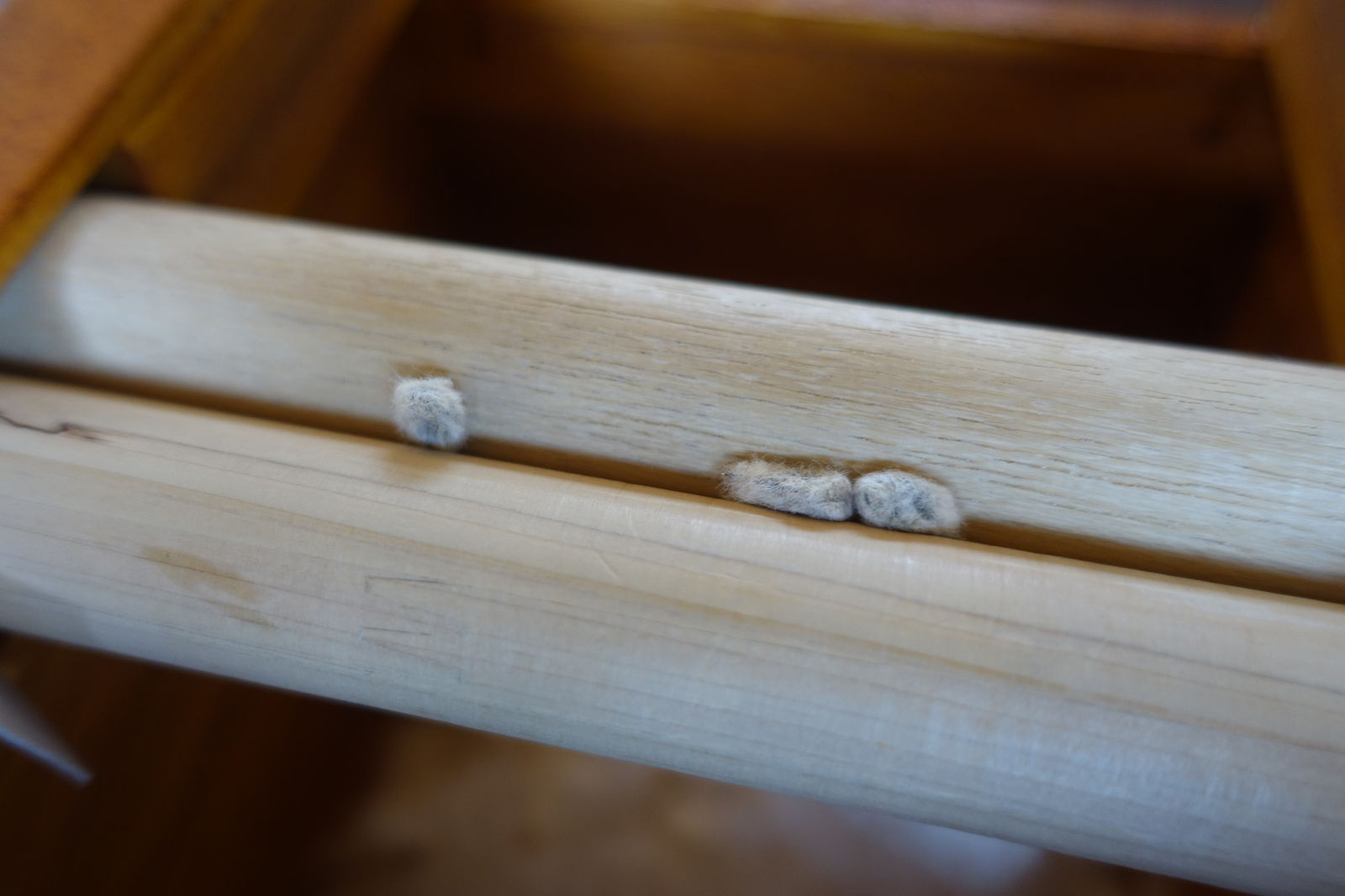 簡易綿繰り機を作ってもらった モンコの染織日記 簡易綿繰り機を作ってもらった モンコの染織日記