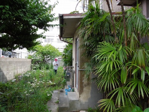 00-DSCN0177