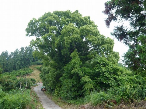 n-P1110152