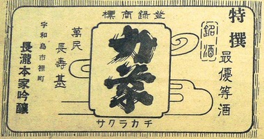 DSCN0713e