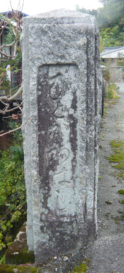 amP1200737