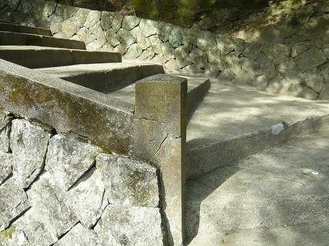 n-P1490376