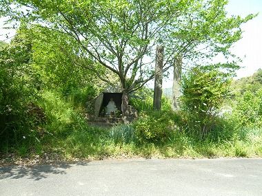 m-P1050969